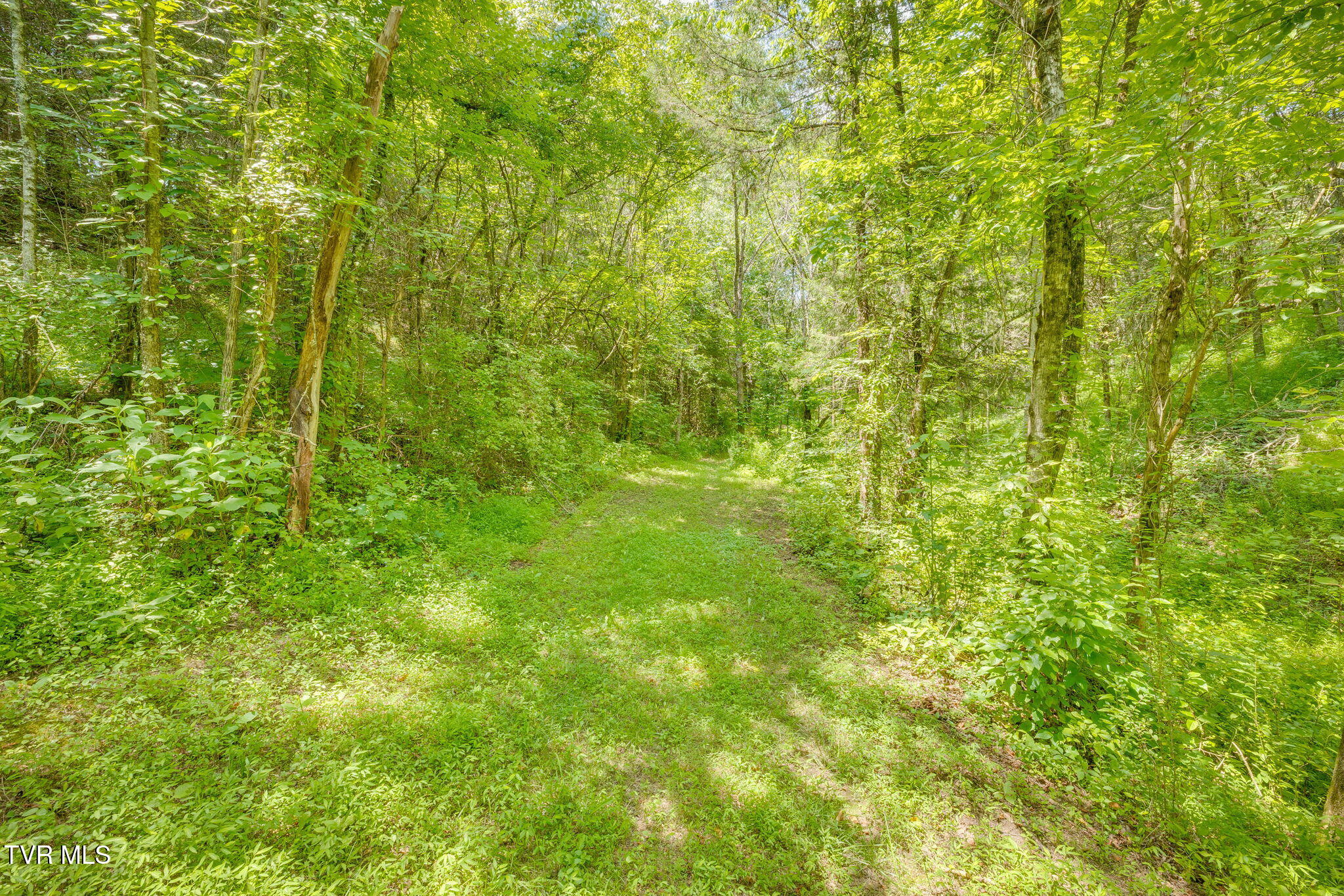 1355 Jackson Hollow Road Mosheim, TN 37818 - Photo 45 of 95 044