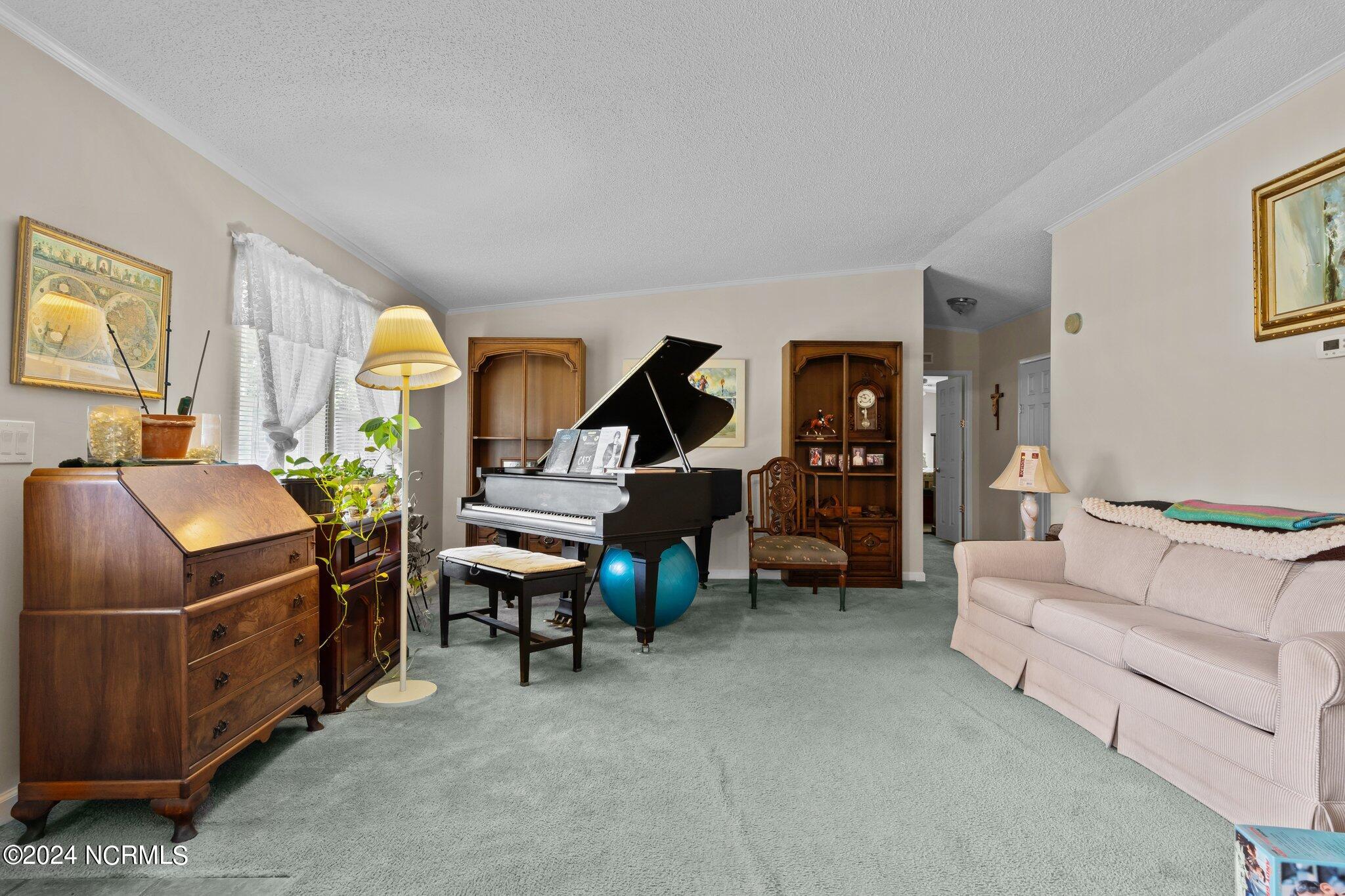 654 Dowd Road Candor, NC 27229 - Photo 55 of 64 8-web-or-mls-707A9051