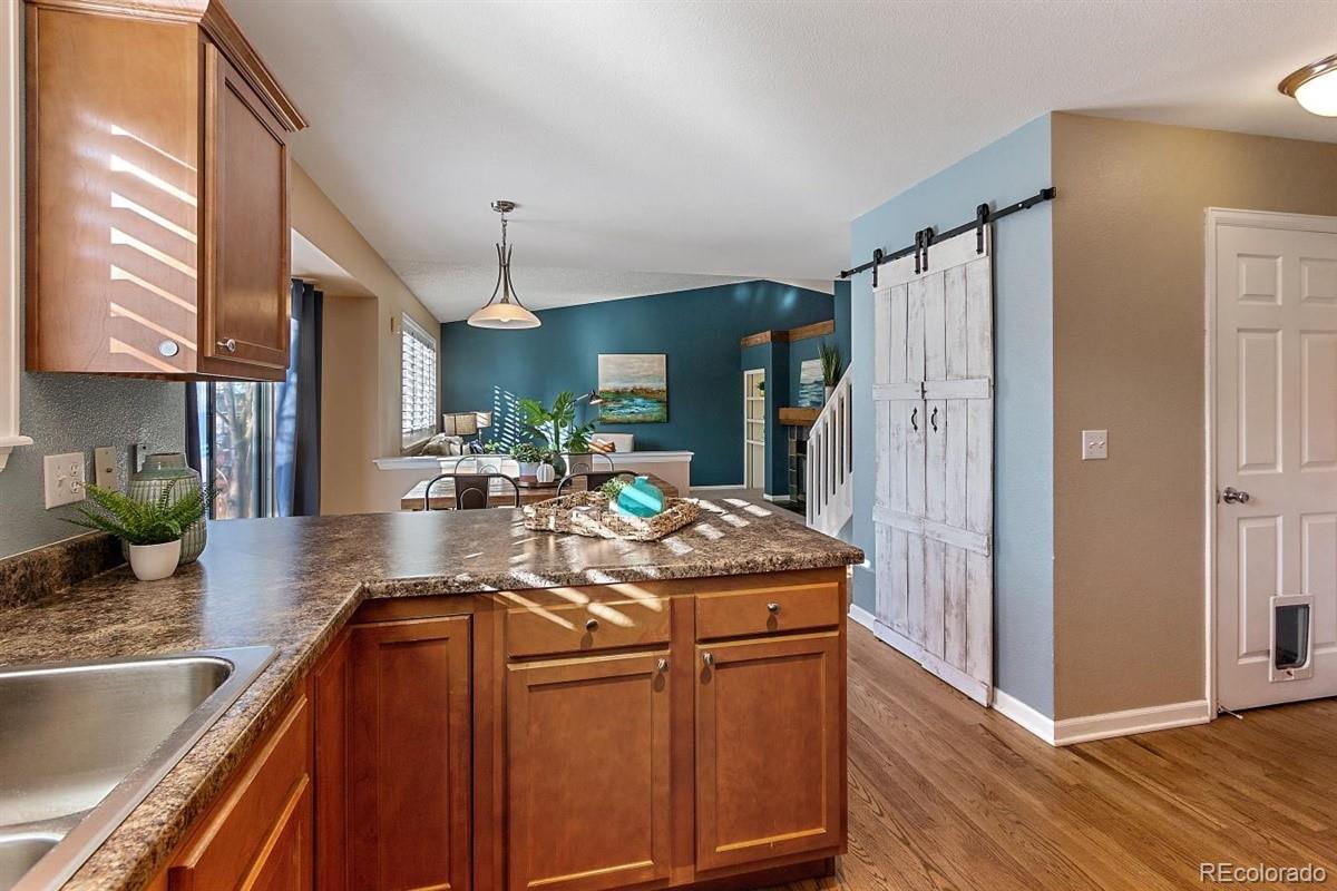 9653 South Castle Ridge Circle Highlands Ranch, CO 80129 - Photo 13 of 26