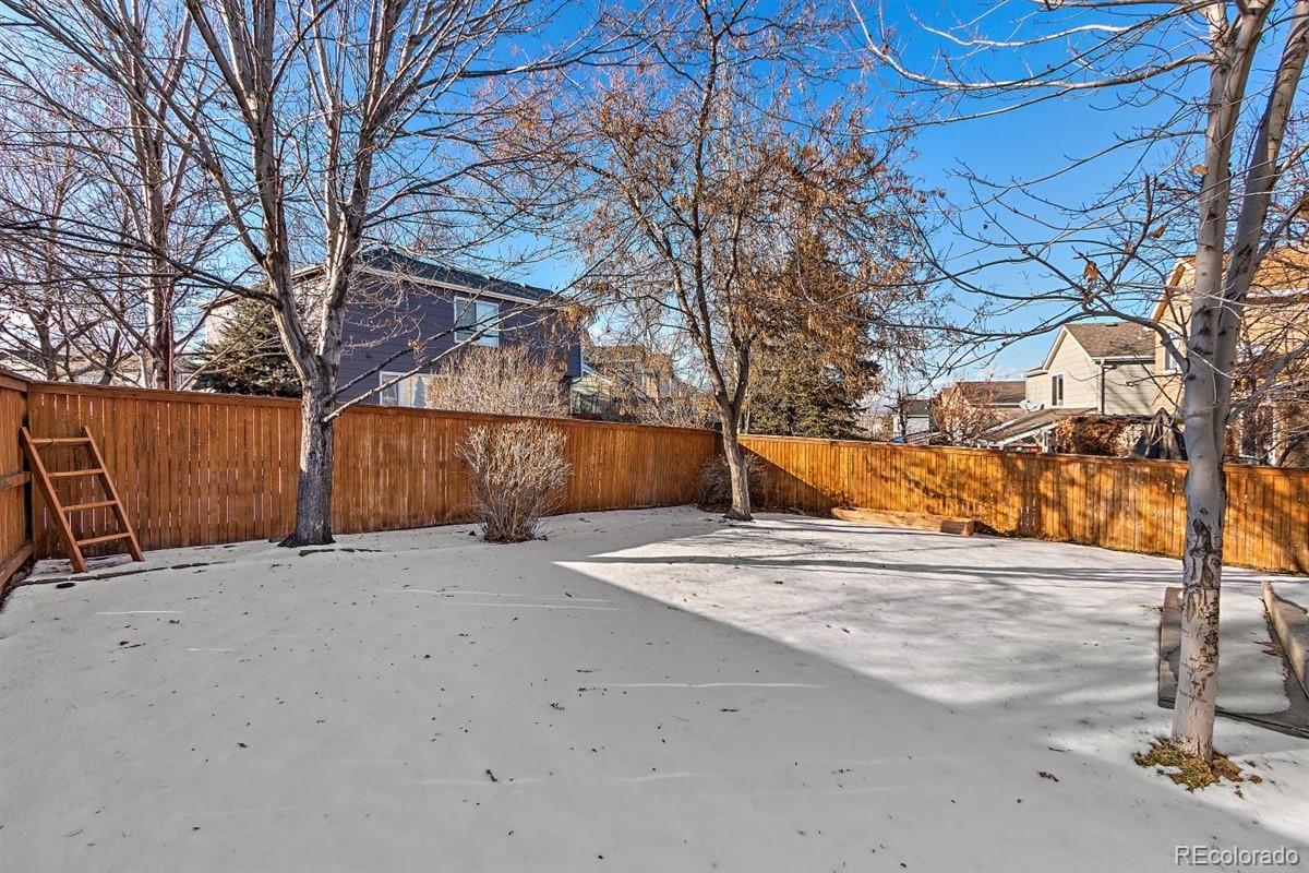 9653 South Castle Ridge Circle Highlands Ranch, CO 80129 - Photo 26 of 26
