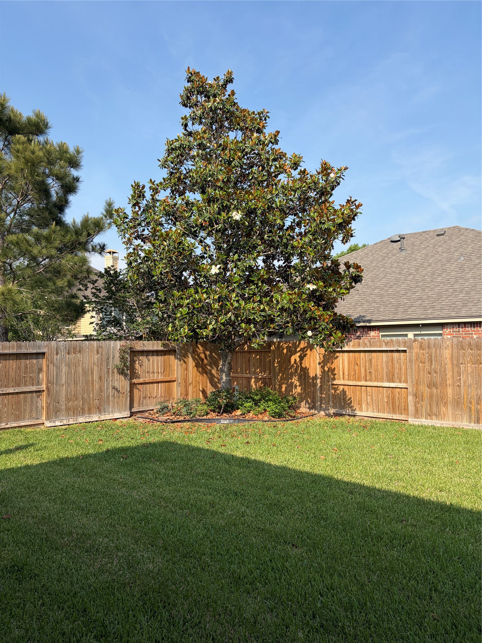2515 Silverton Bend Rosenberg, TX 77471 - Photo 9 of 28