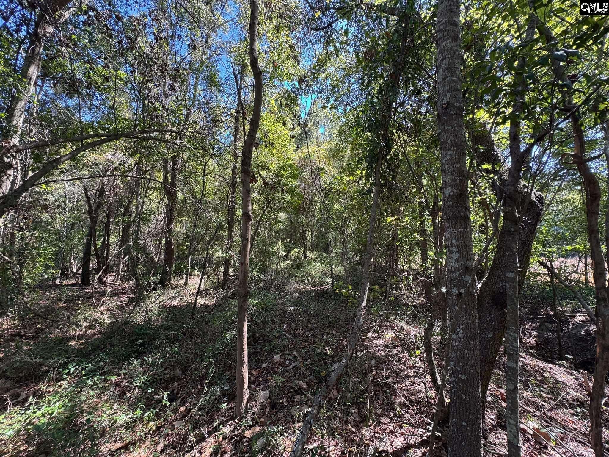 St Matthews Church Road Sumter, SC 29153 - Photo 20 of 34 Gallery Image 20