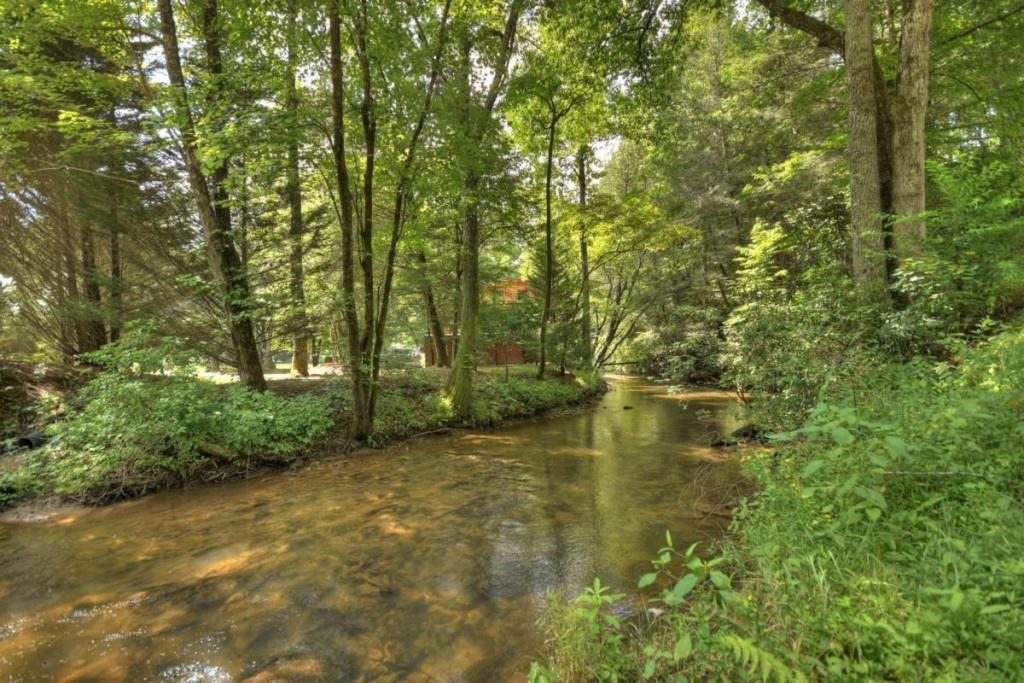 111 Laurel Crossing Blue Ridge, GA 30513 - Photo 44 of 50