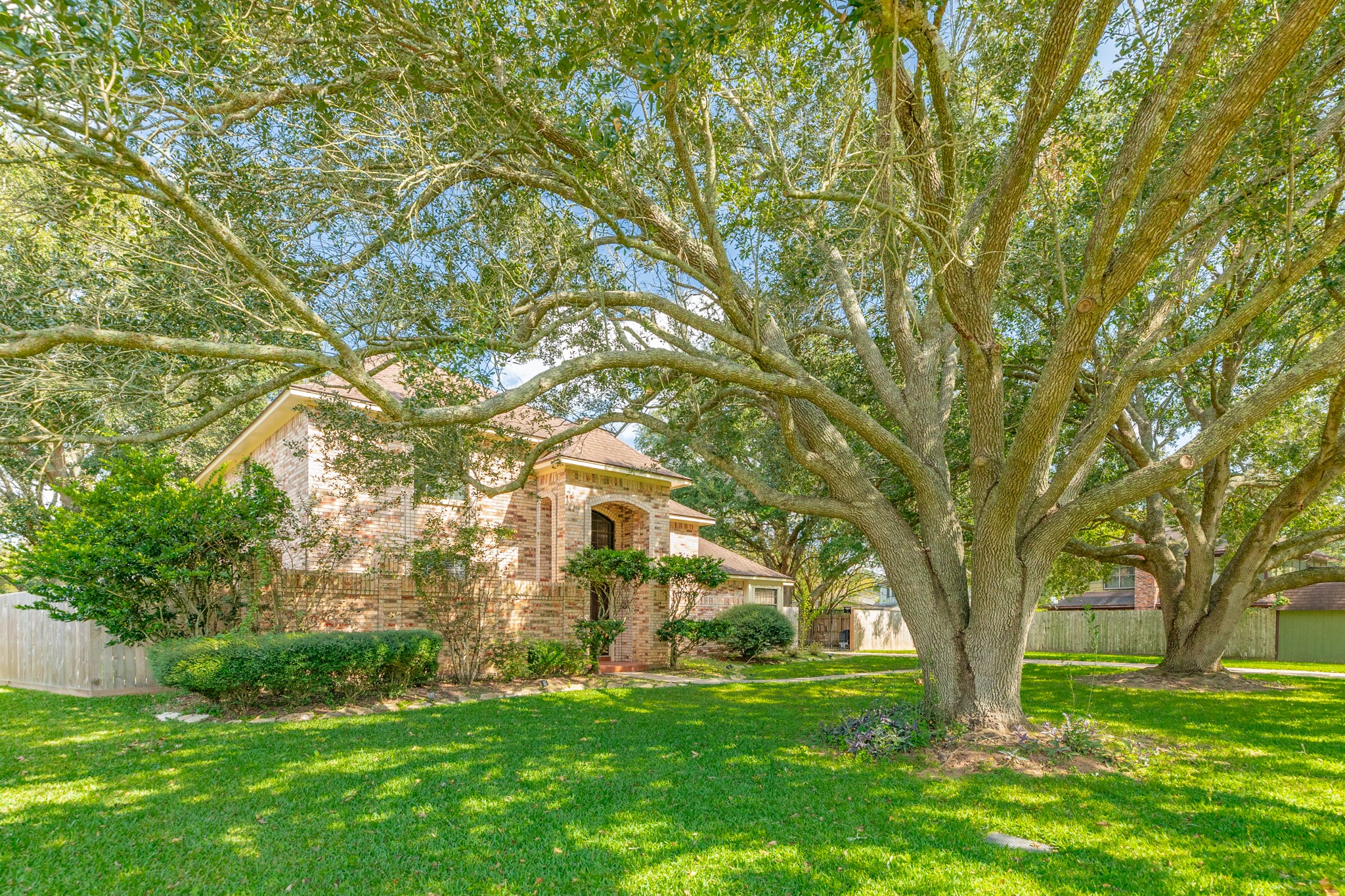 1600 Azalea Street Sweeny, TX 77480 - Photo 4 of 42 a big yard with large trees