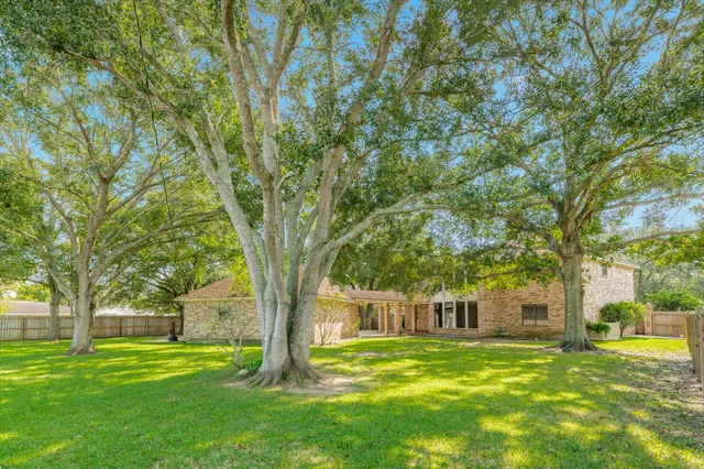 a big yard with large trees
