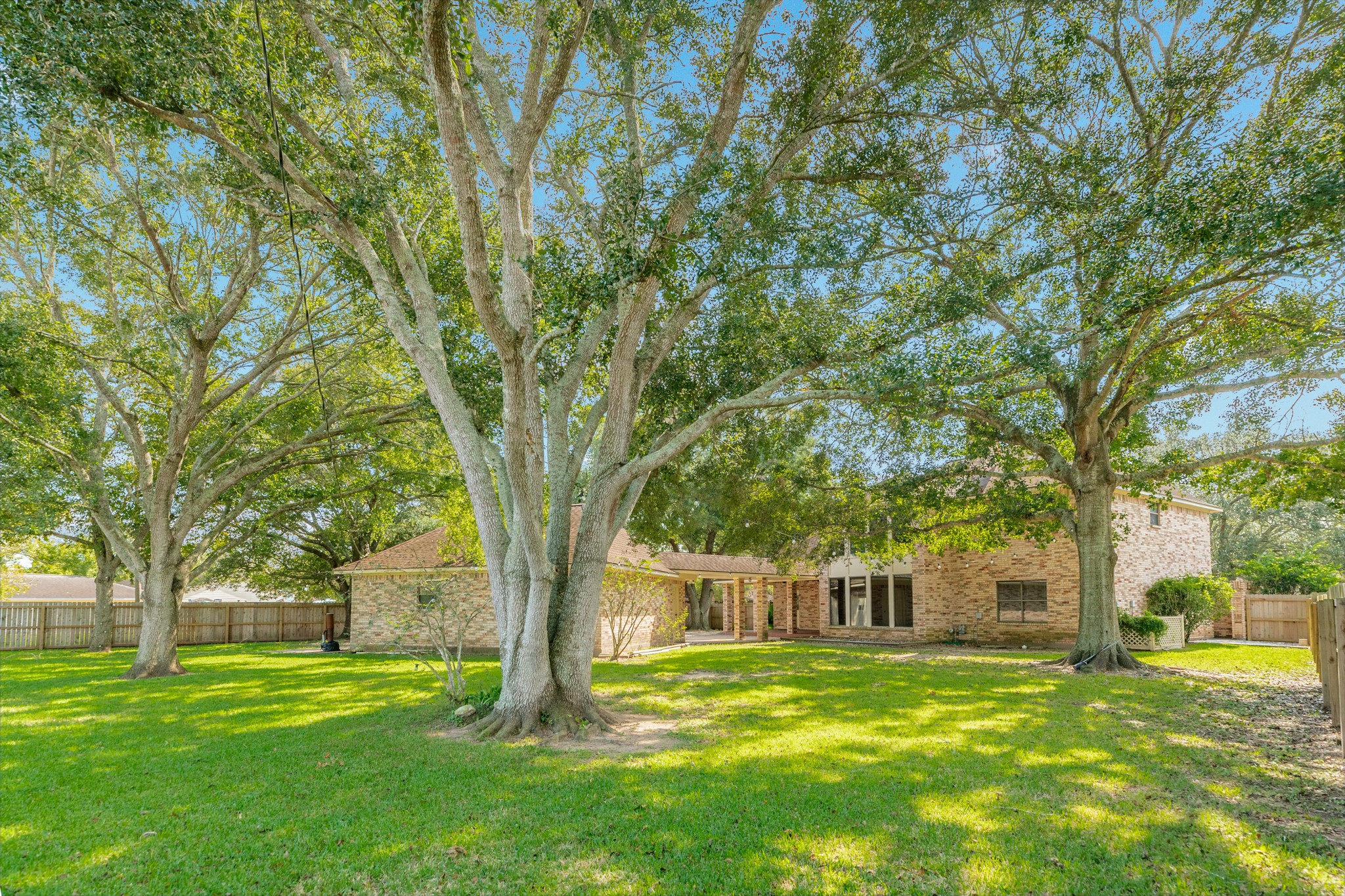 1600 Azalea Street Sweeny, TX 77480 - Photo 9 of 42 a big yard with large trees