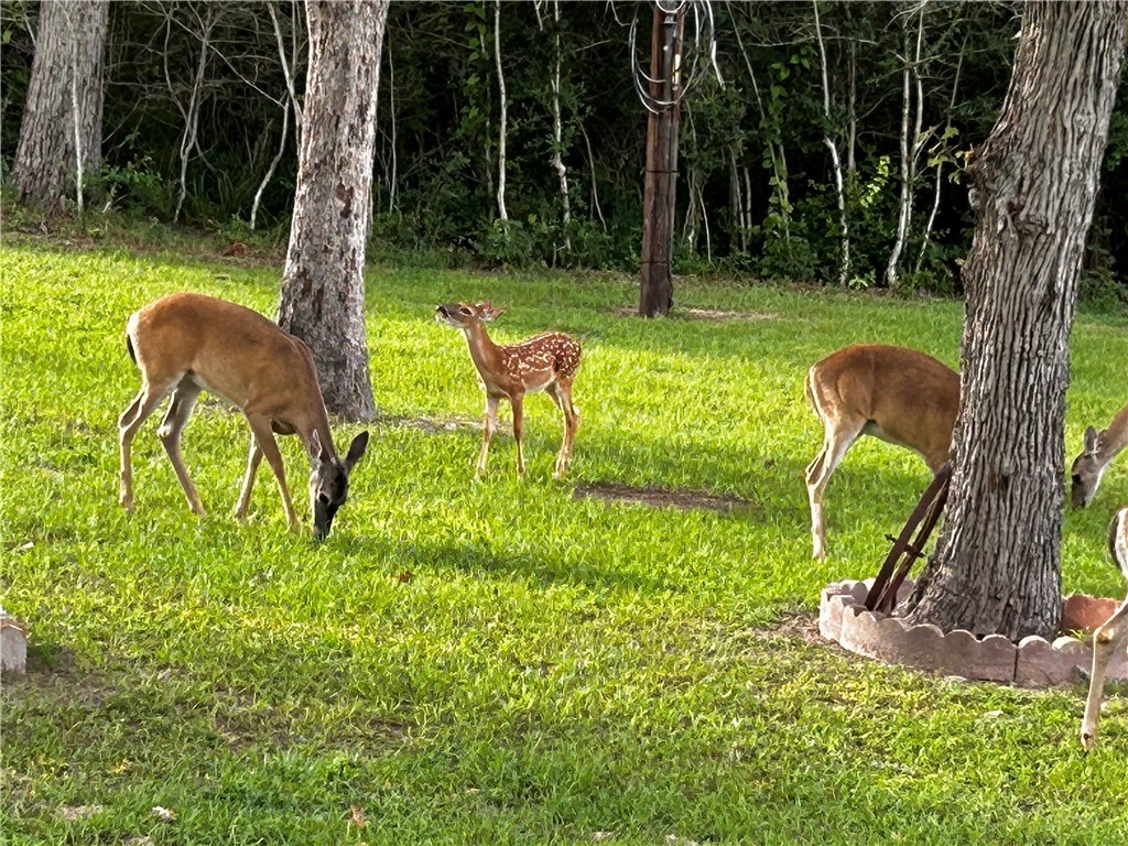 422 Barbara Somerville, TX 77879 - Photo 25 of 27