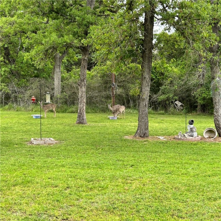 422 Barbara Somerville, TX 77879 - Photo 27 of 27