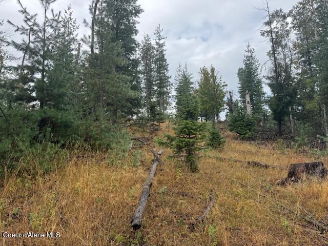 Nka Nka Parcel B Pinehurst, ID 83850 - Photo 3 of 10 Photo