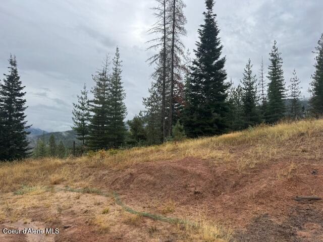 Nka Nka Parcel B Pinehurst, ID 83850 - Photo 5 of 10 Photo