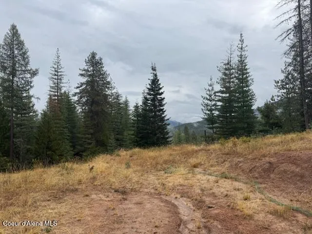 $139,500 | Nka Nka Parcel B, Pinehurst, ID 83850