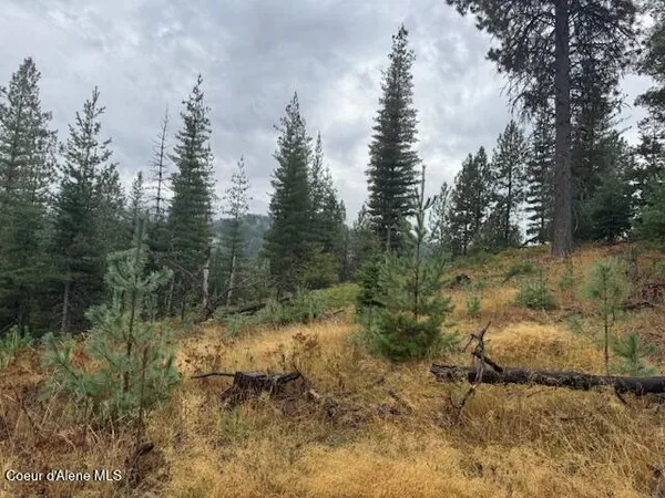 $139,500 | Nka Nka Parcel B, Pinehurst, ID 83850