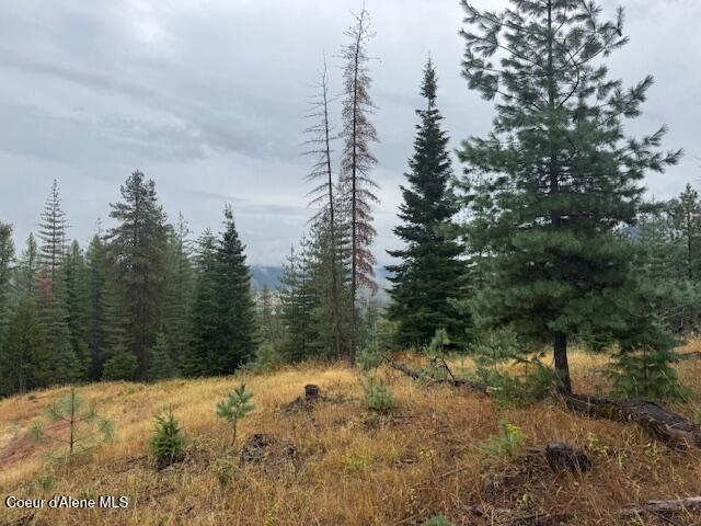 Nka Nka Parcel B Pinehurst, ID 83850 - Photo 10 of 10 Photo