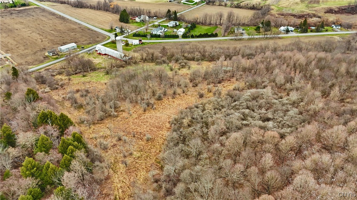 0 Forks Road West Winfield, NY 13491 - Photo 11 of 13