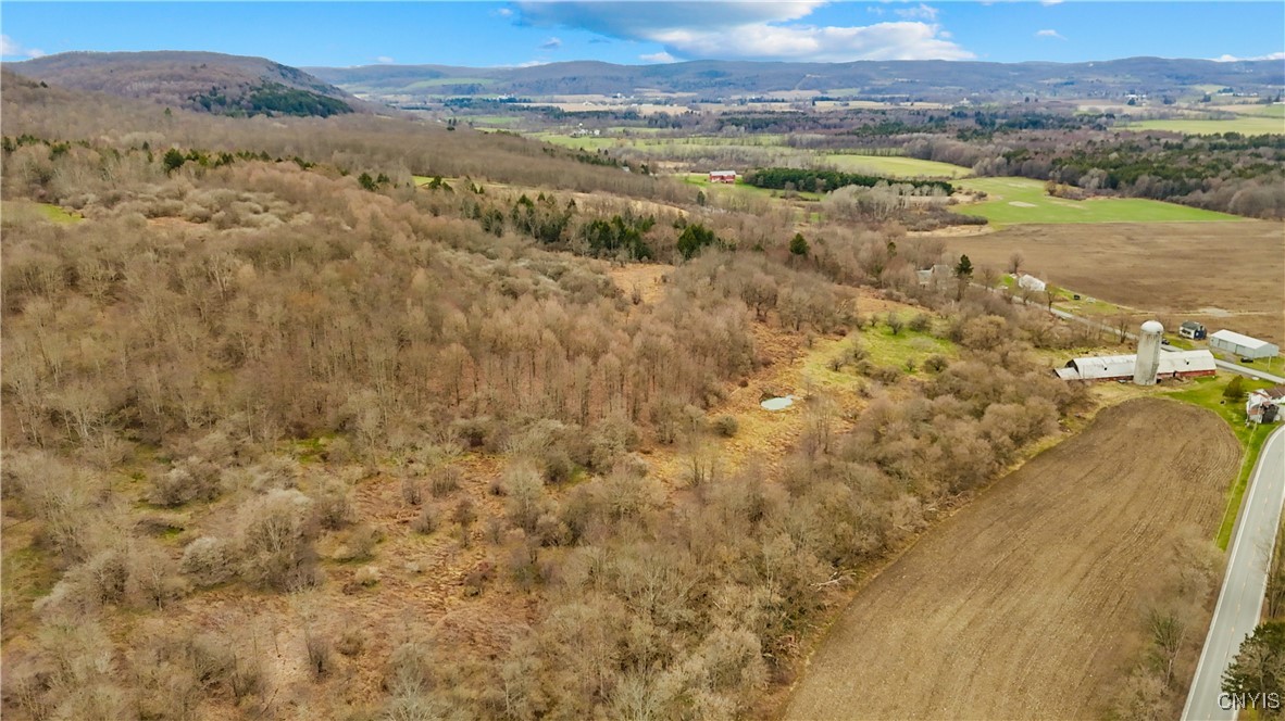 0 Forks Road West Winfield, NY 13491 - Photo 12 of 13