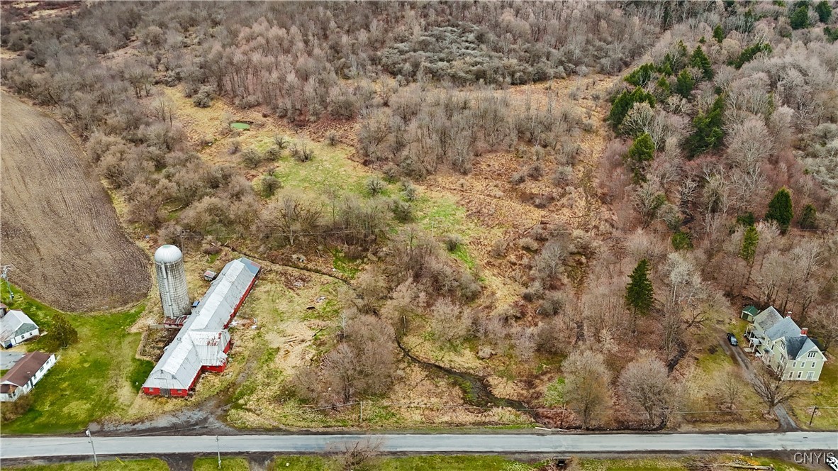 0 Forks Road West Winfield, NY 13491 - Photo 10 of 13