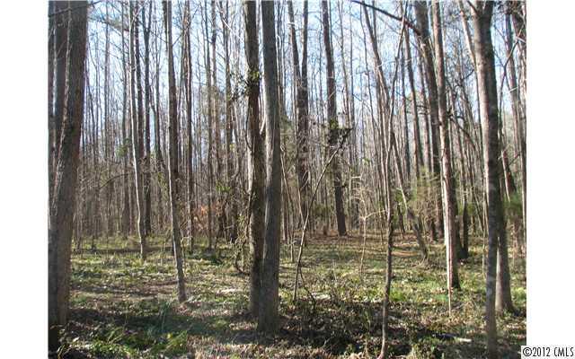 2100 Daffodil Road Edgemoor, SC 29712 - Photo 8 of 8 Gallery Image 8
