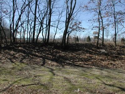 Findley Road Burr Oak, MI 49030 - Photo 7 of 15 Additional Photo