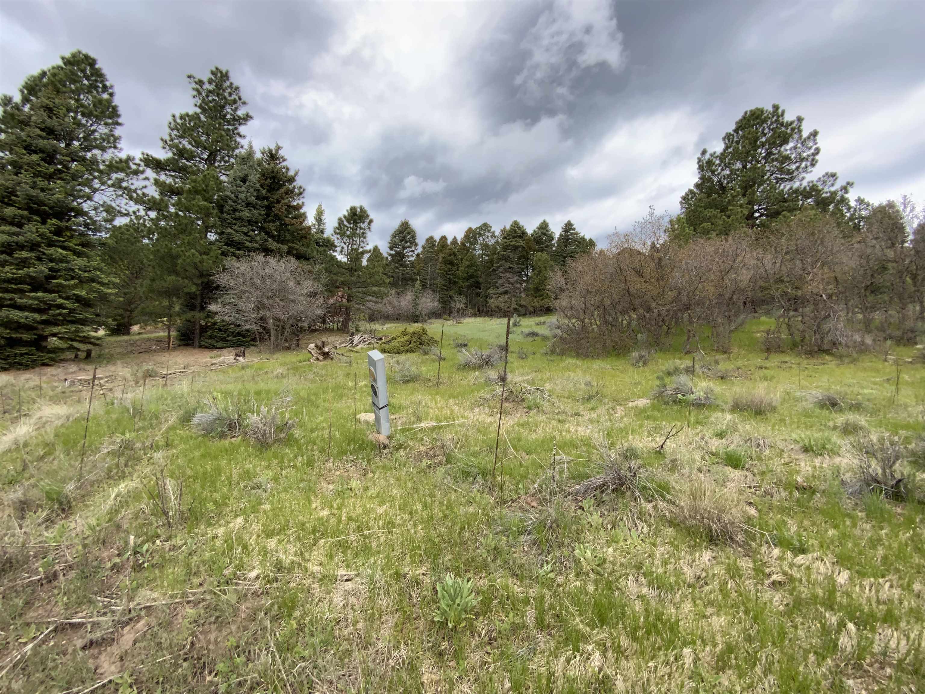 Lot 769 Via Del Rey Angel Fire, NM 87710 - Photo 2 of 5 Gallery Image 2