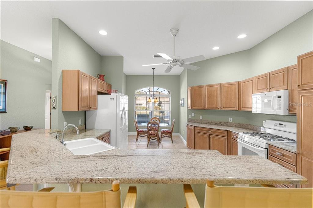 1466 Perry Lane The Villages, FL 32162 - Photo 11 of 60