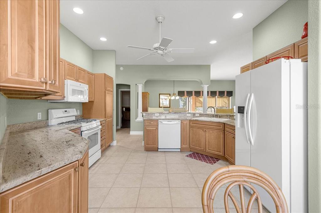 1466 Perry Lane The Villages, FL 32162 - Photo 9 of 60