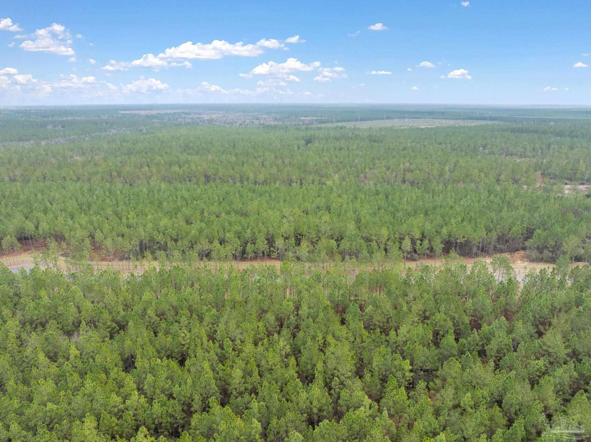 27 Ashbridge Lane Pace, FL 32571 - Photo 12 of 40 a view of an ocean and a yard