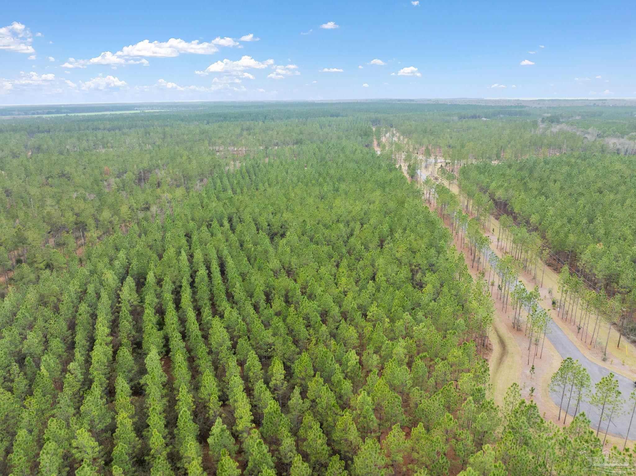 27 Ashbridge Lane Pace, FL 32571 - Photo 13 of 40 a view of a green field with an ocean