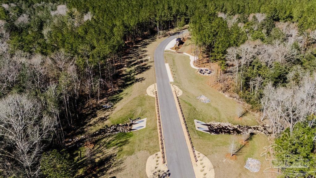 27 Ashbridge Lane Pace, FL 32571 - Photo 36 of 40 a view of swimming pool