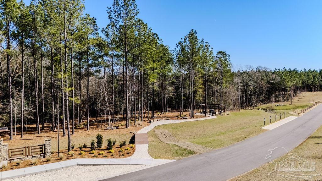 27 Ashbridge Lane Pace, FL 32571 - Photo 38 of 40 a view of a swimming pool with a yard and trees in the background