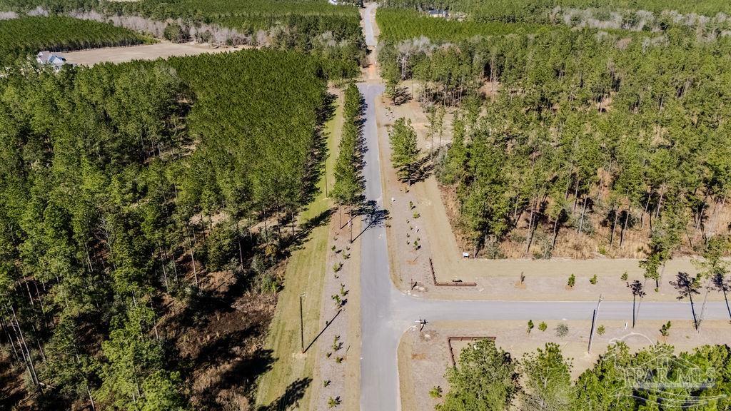 27 Ashbridge Lane Pace, FL 32571 - Photo 39 of 40 a view of a yard with plants and large trees
