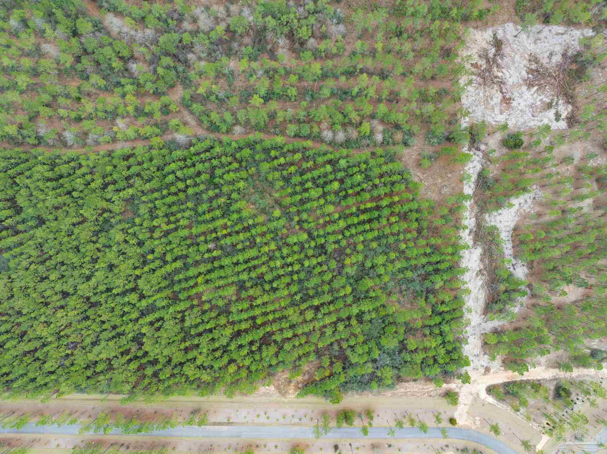 27 Ashbridge Lane Pace, FL 32571 - Photo 10 of 40