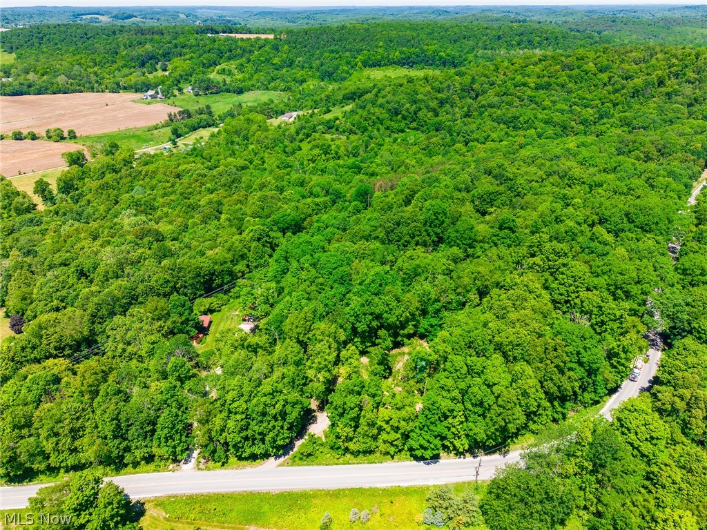 6257 Caddy Road Southwest Bowerston, OH 44695 - Photo 42 of 44