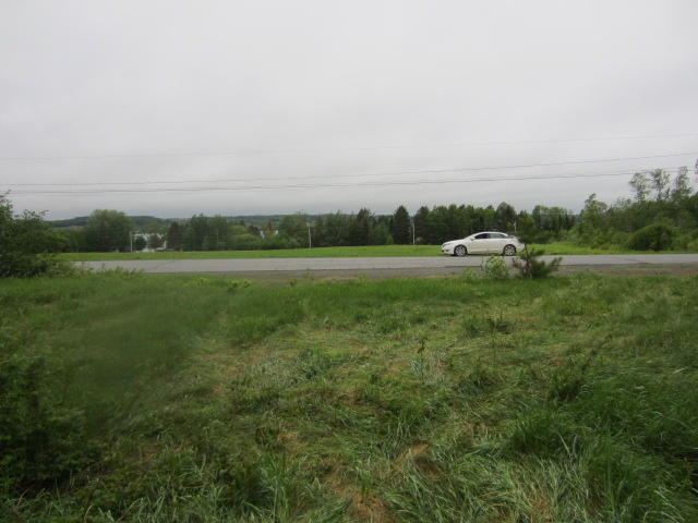 0 Lake Shore Road St. David, ME 04773 - Photo 4 of 5 IMG_7450