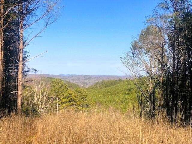 4 Owl Hollow Road McDonald, TN 37353 - Photo 8 of 20