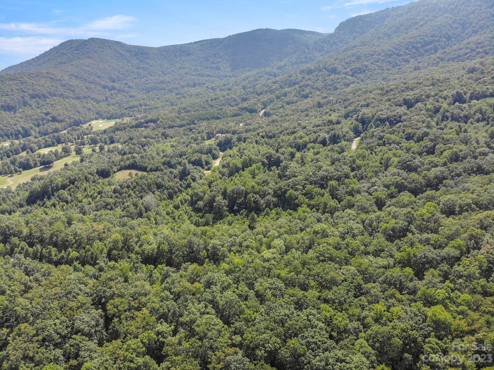 134 Camden Pl Mill Spring, Unit 134 Mill Spring, NC 28756 - Photo 12 of 28