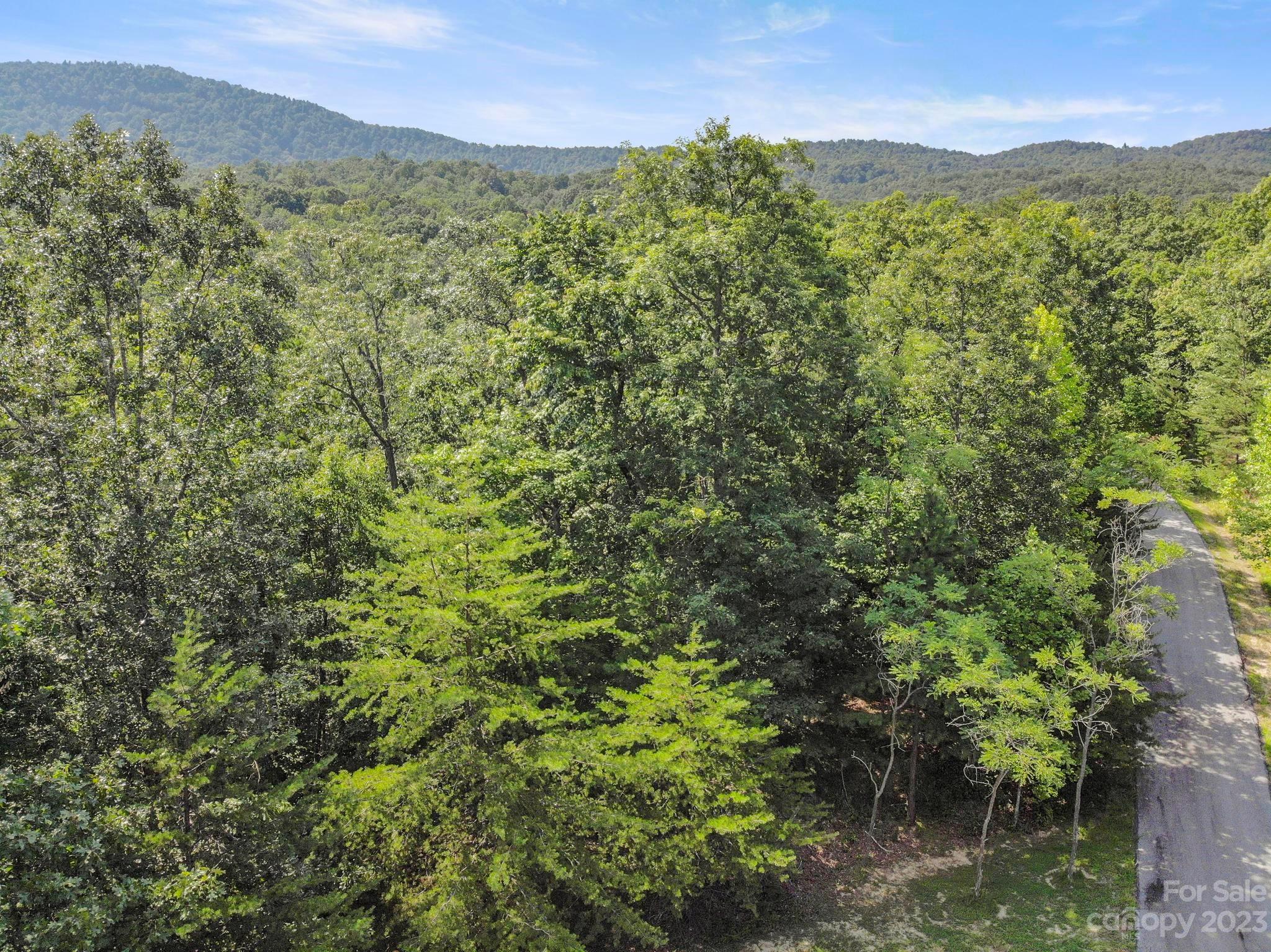 134 Camden Pl Mill Spring, Unit 134 Mill Spring, NC 28756 - Photo 13 of 28