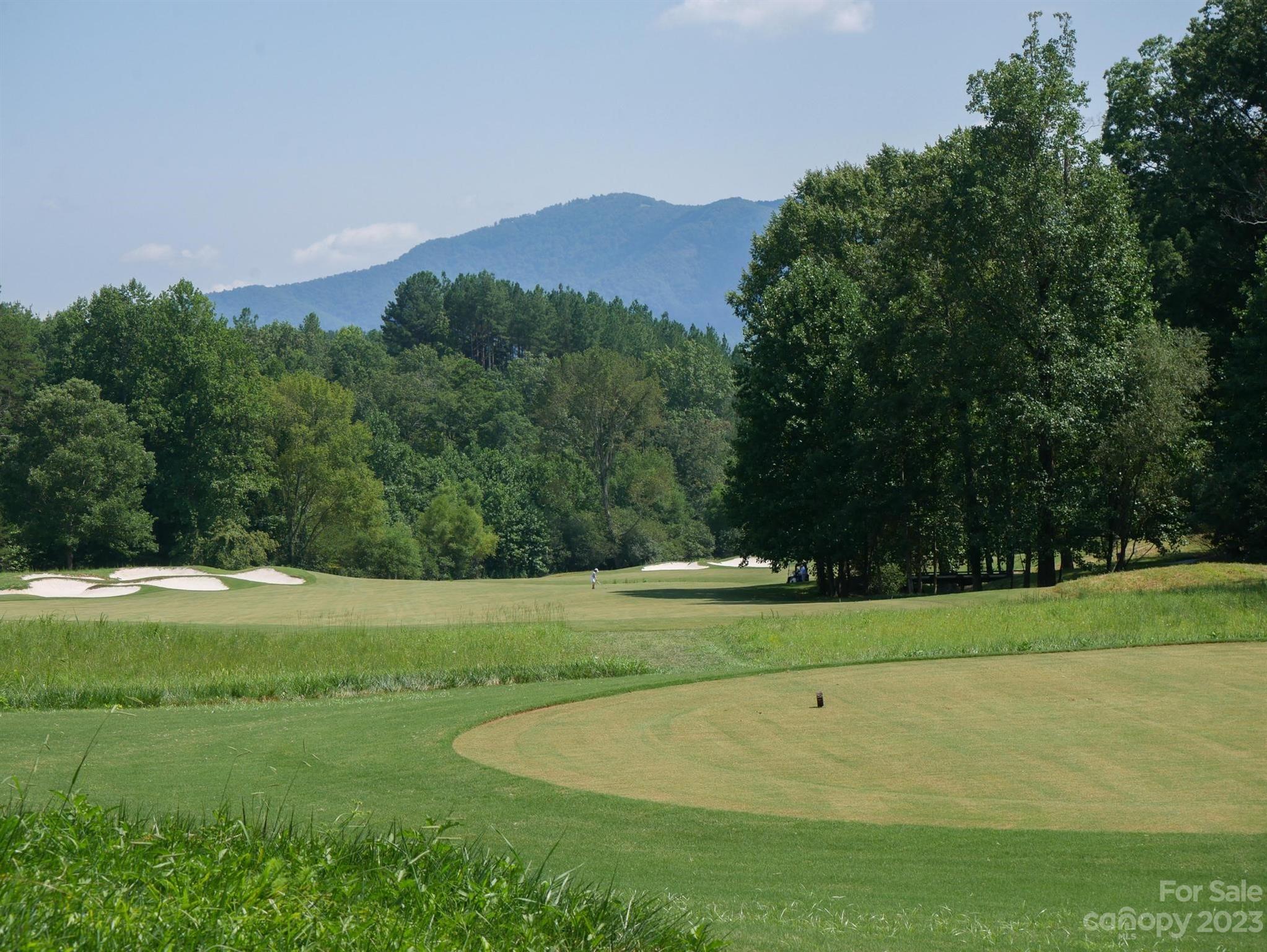 134 Camden Pl Mill Spring, Unit 134 Mill Spring, NC 28756 - Photo 17 of 28