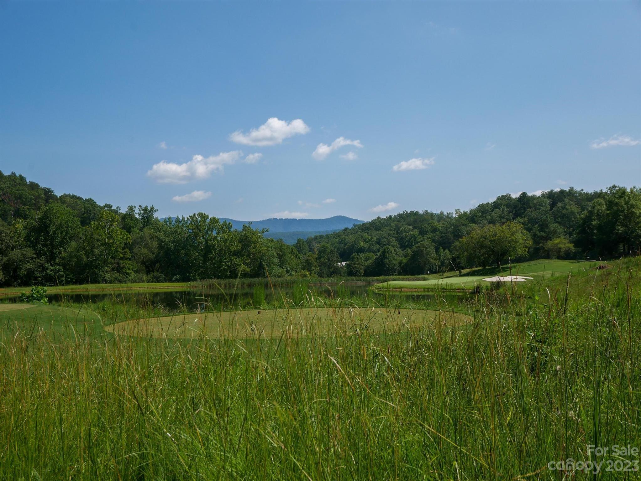 134 Camden Pl Mill Spring, Unit 134 Mill Spring, NC 28756 - Photo 19 of 28