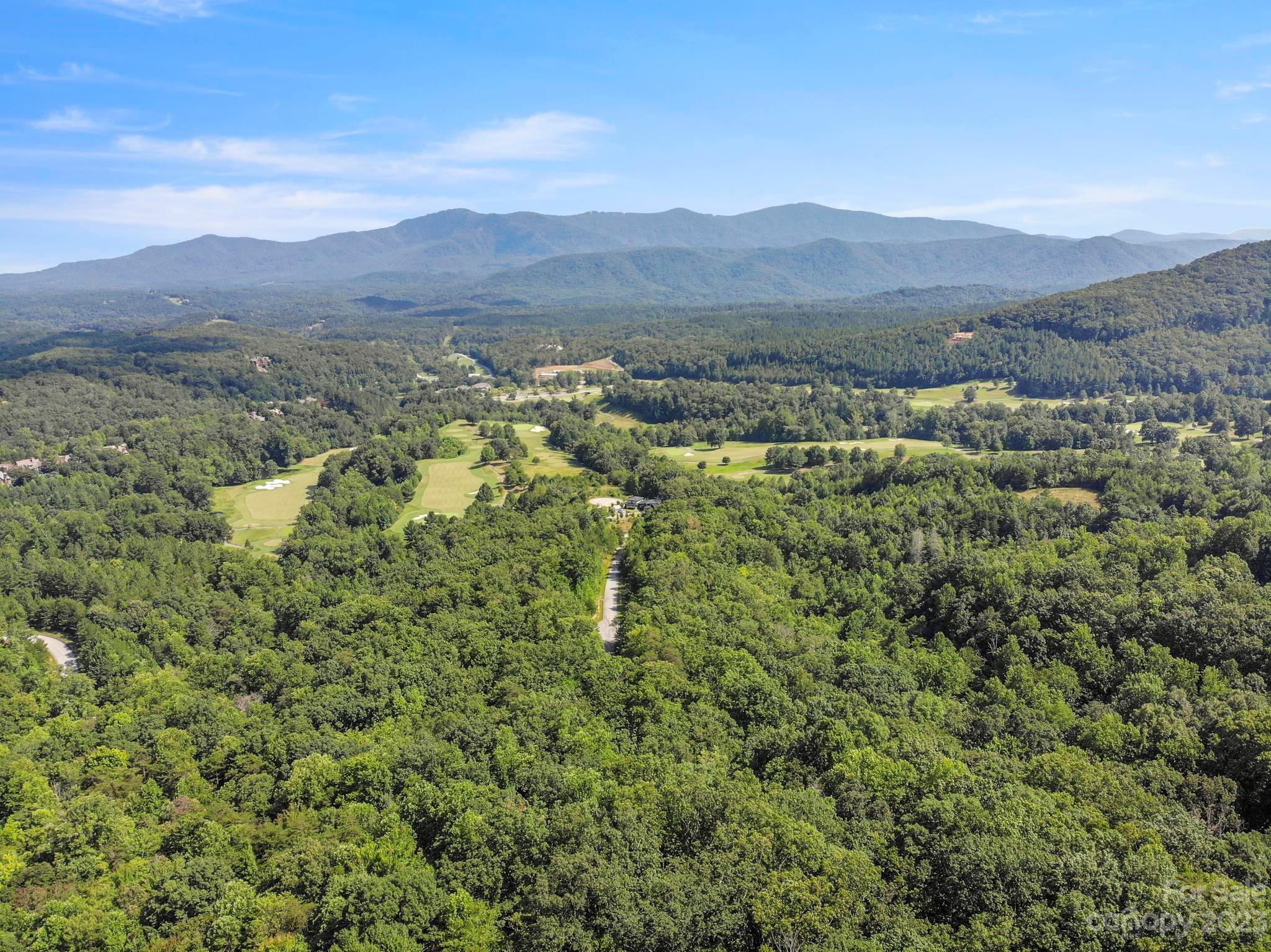 134 Camden Pl Mill Spring, Unit 134 Mill Spring, NC 28756 - Photo 3 of 28