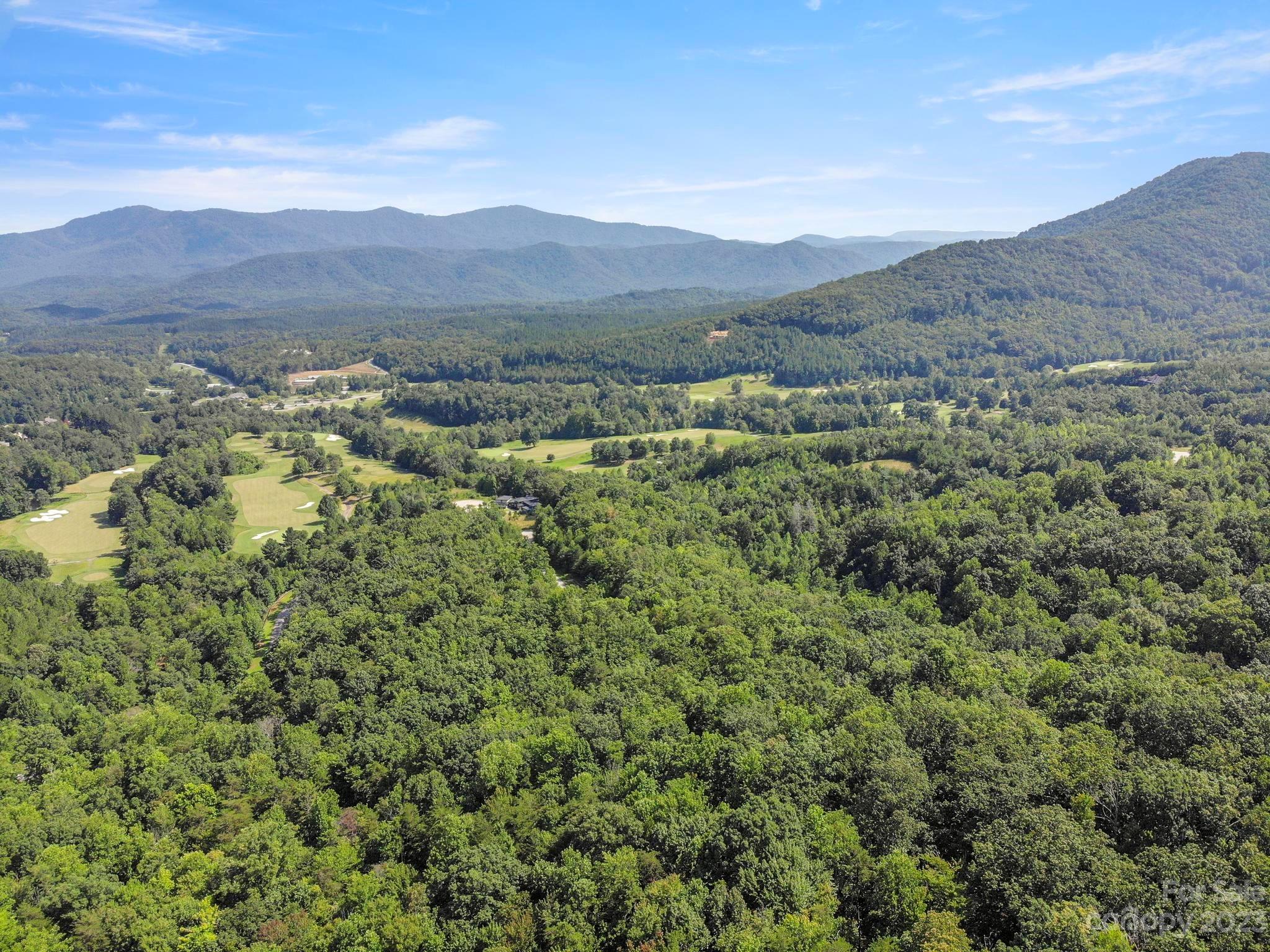 134 Camden Pl Mill Spring, Unit 134 Mill Spring, NC 28756 - Photo 4 of 28