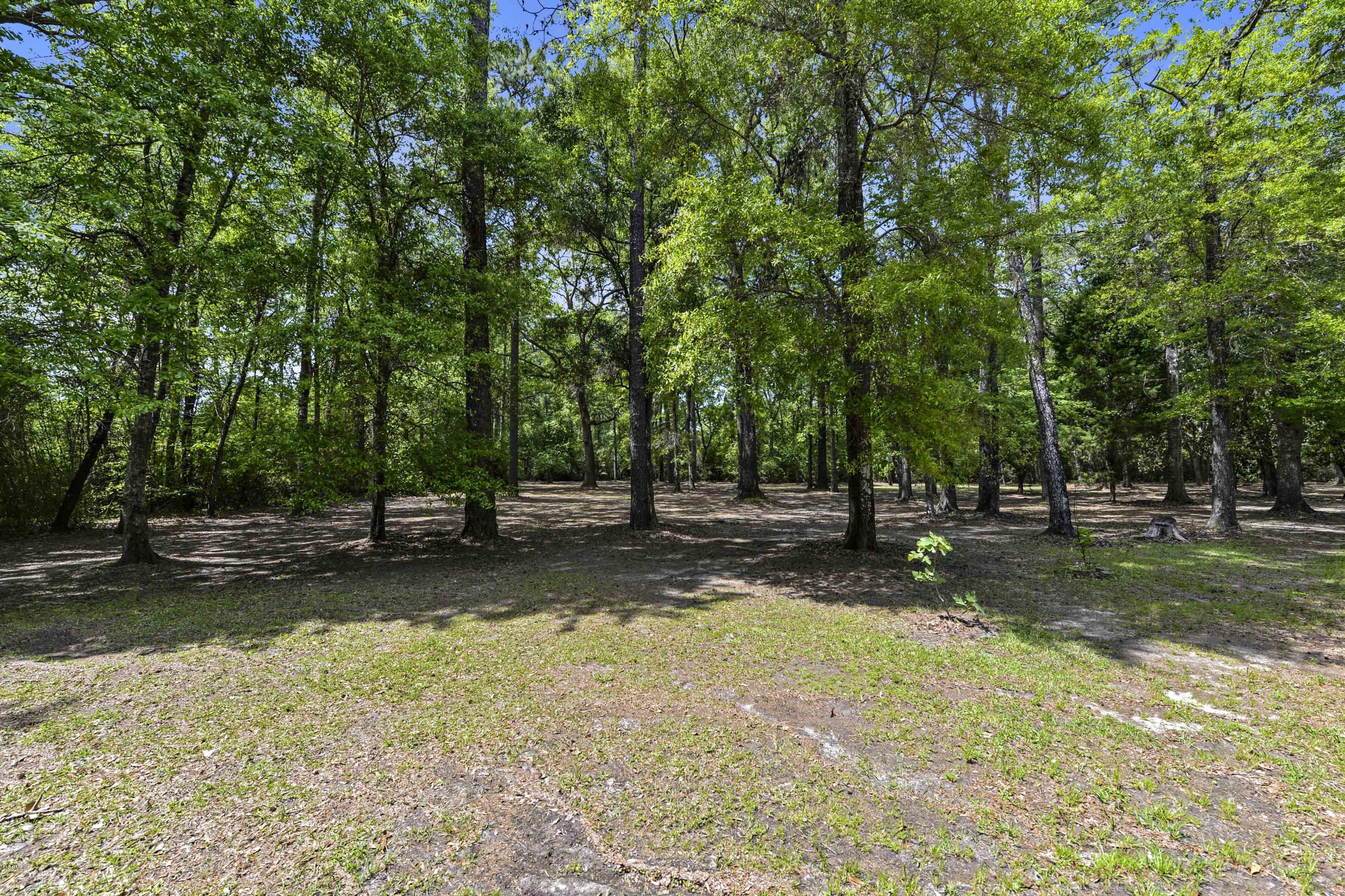 12400 Ware Lake Road Vancleave, MS 39565 - Photo 36 of 43 043 (4)