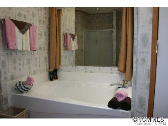 49 Goose Creek Road Swannanoa, NC 28778 - Photo 18 of 23 Gallery Image 18