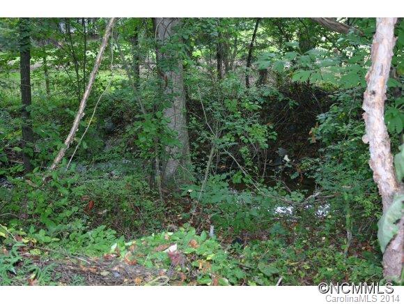 49 Goose Creek Road Swannanoa, NC 28778 - Photo 23 of 23 Gallery Image 23