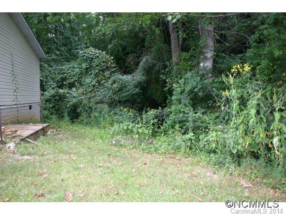 49 Goose Creek Road Swannanoa, NC 28778 - Photo 5 of 23 Gallery Image 5