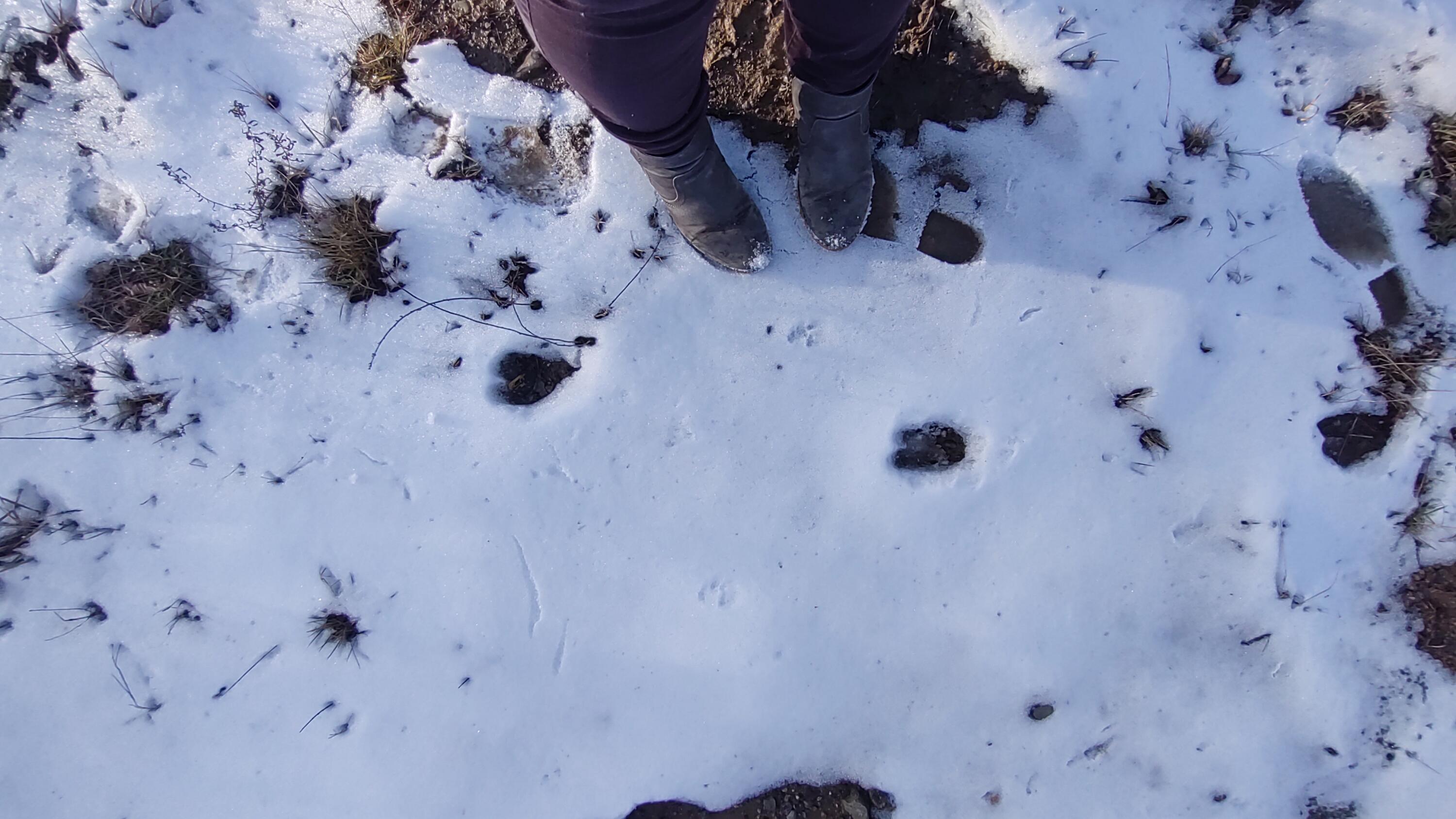 Lot 42 Baldwin Hill Road Kents Hill, ME 04349 - Photo 4 of 7 1000005440