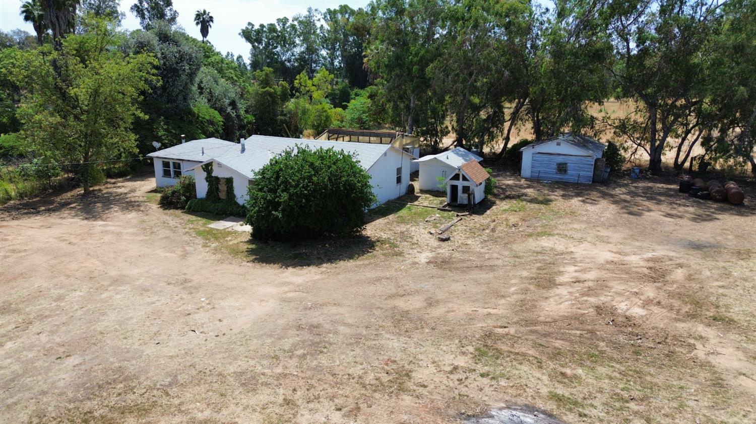 a view of a backyard with potted plants and large trees
