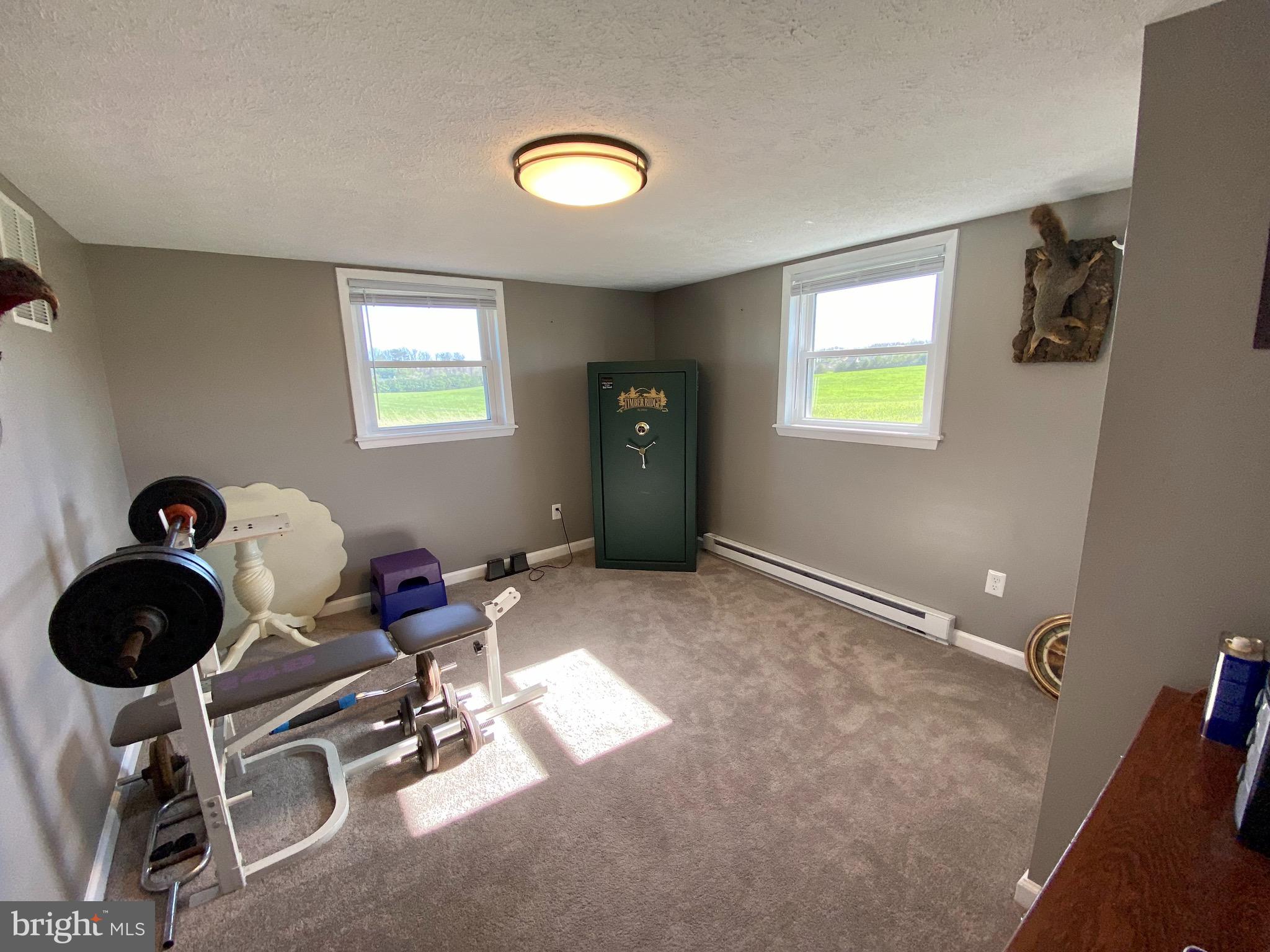 1900 Chapel Road Middletown, VA 22645 - Photo 43 of 90 a view of a workspace with furniture and gym equipment