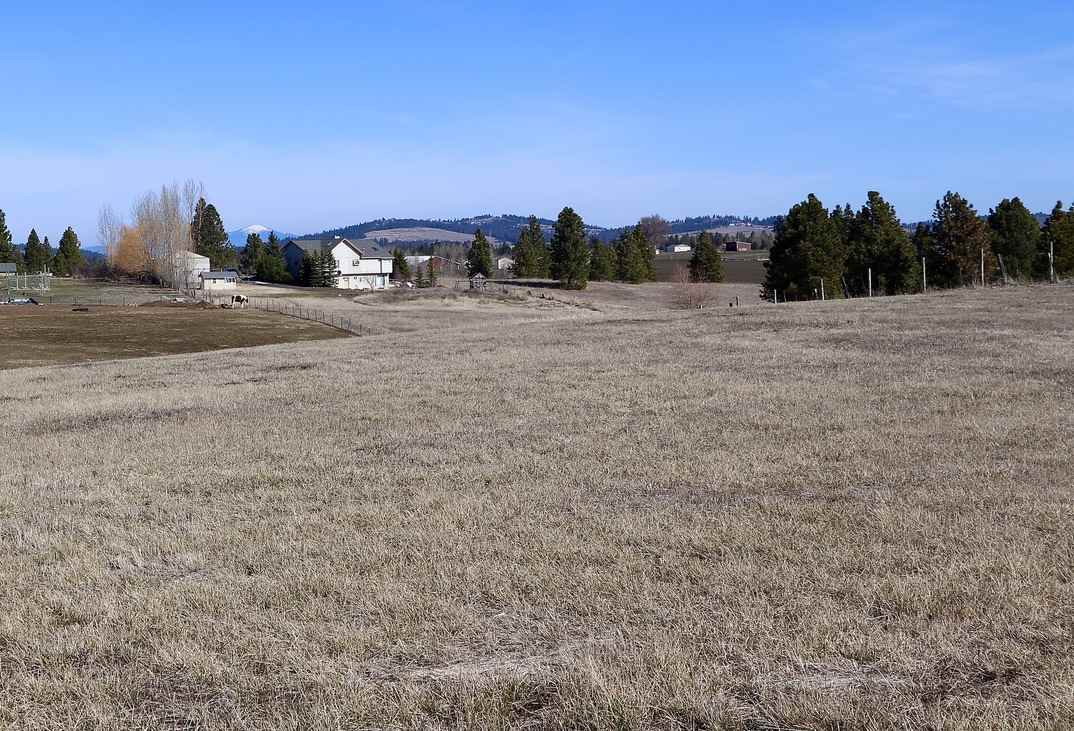 13907 South Madison Road Valleyford, WA 99036 - Photo 11 of 19
