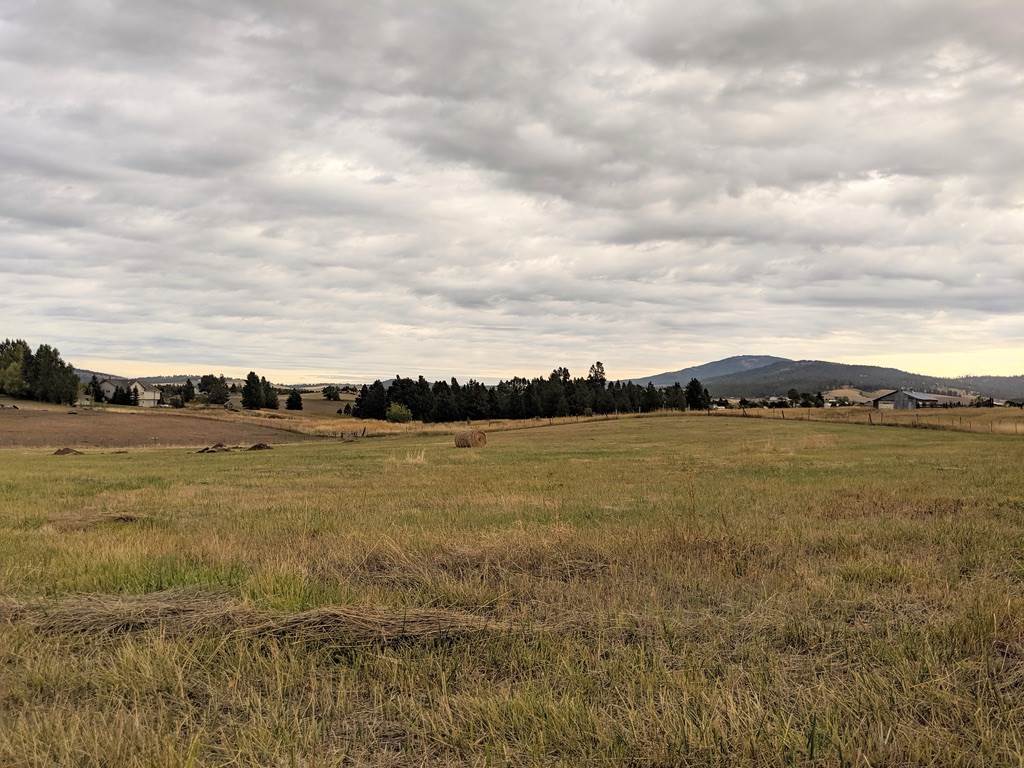 13907 South Madison Road Valleyford, WA 99036 - Photo 12 of 19