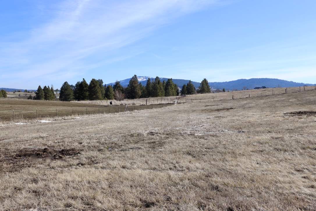 13907 South Madison Road Valleyford, WA 99036 - Photo 14 of 19